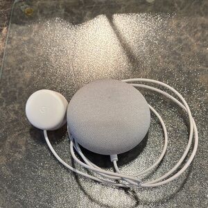 Google Nest Mini in Light Gray